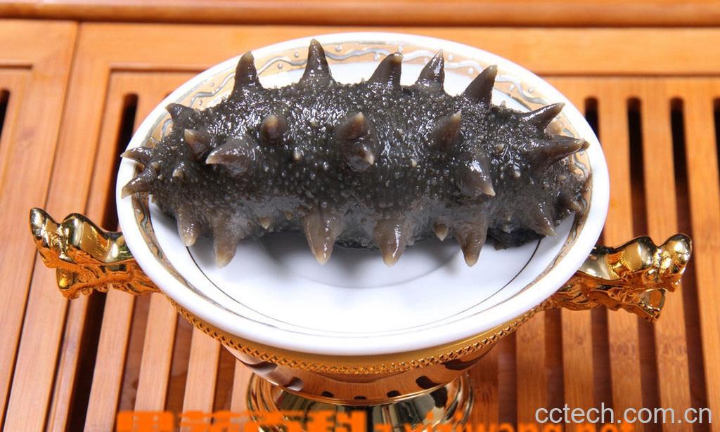 果蔬百科海参的功效-0