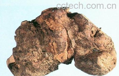 果蔬百科土茯苓的副作用-0