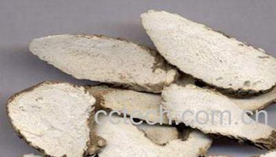 果蔬百科白芷的副作用-0