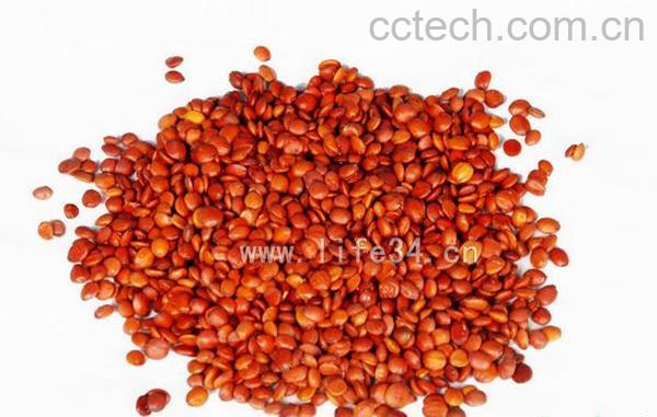 果蔬百科酸枣仁的副作用-0