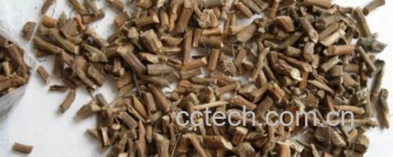 果蔬百科北柴胡的功效与作用-0