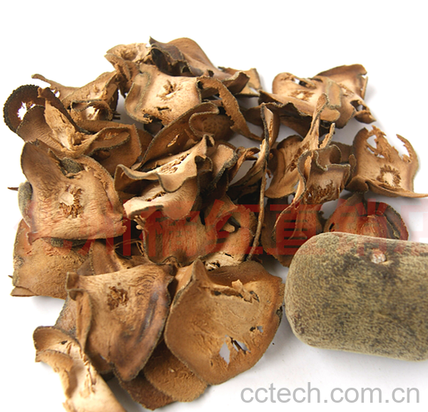 果蔬百科橘红的功效与作用-0