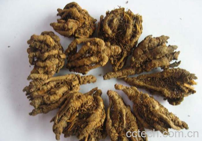 果蔬百科黄连素的副作用-0