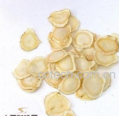 果蔬百科西洋参的功效-0