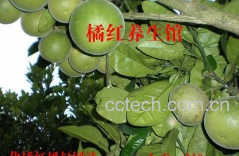 果蔬百科化橘红的功效与作用-0