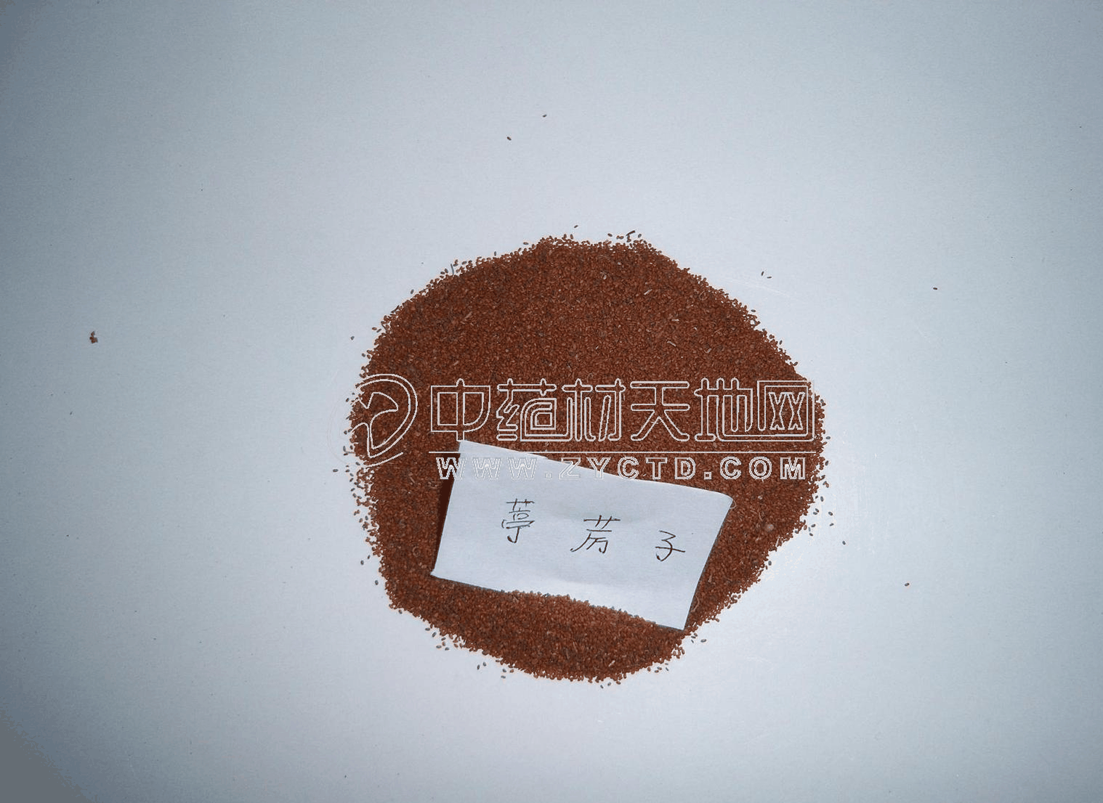 果蔬百科葶苈子的功效与作用-0