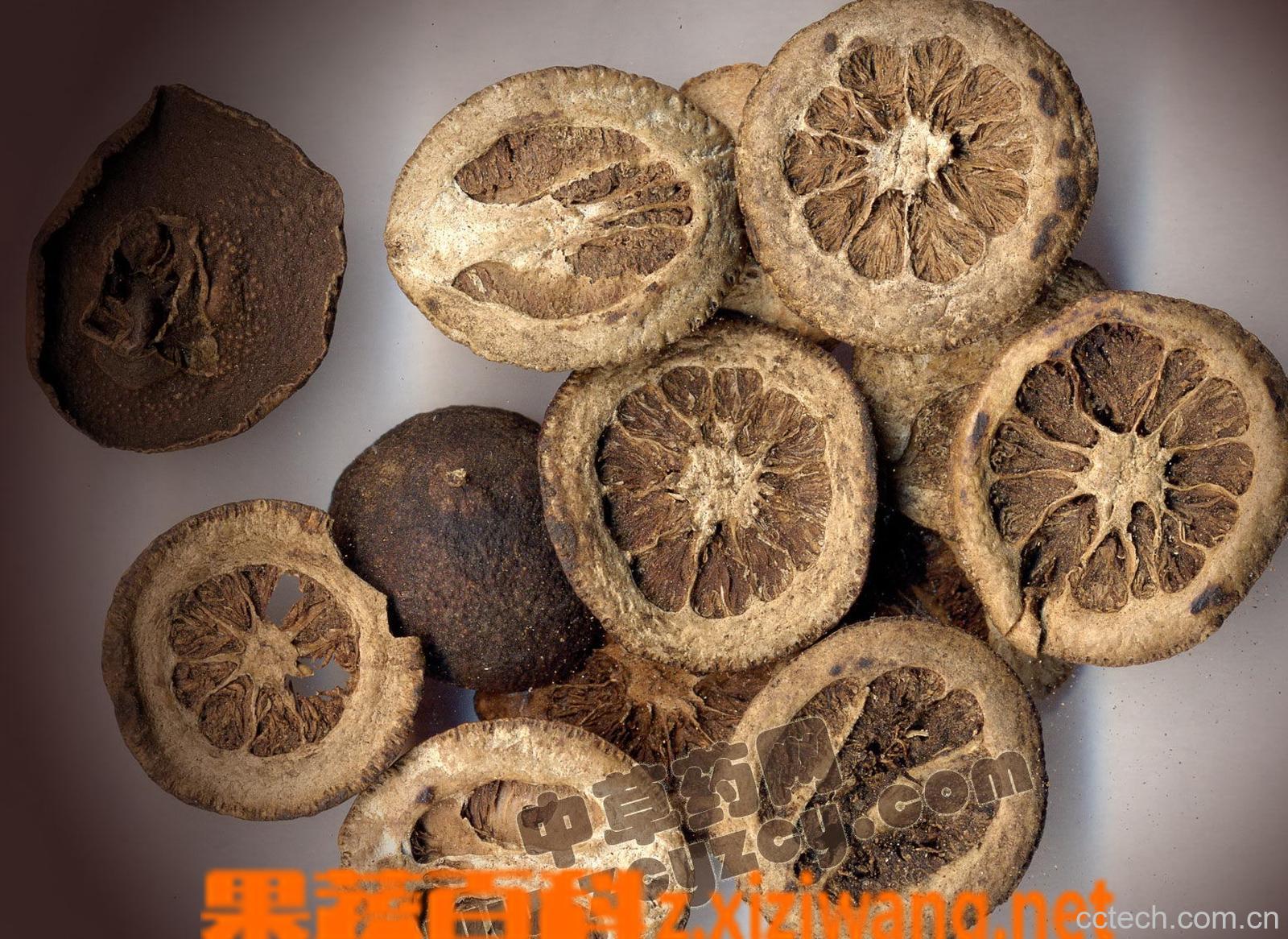 果蔬百科枳实的功效与作用-0