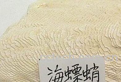 果蔬百科海螵蛸的功效与作用-0