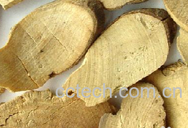 果蔬百科乌药的作用-0