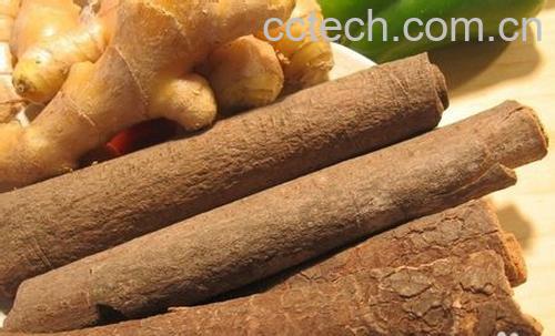 果蔬百科肉桂的功效与作用-0