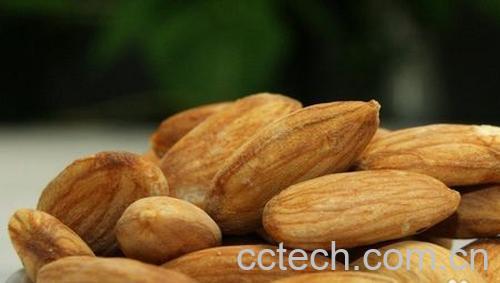 果蔬百科苦杏仁的功效与作用-0