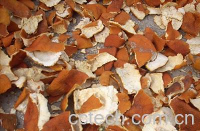 果蔬百科苍术的功效和作用-0