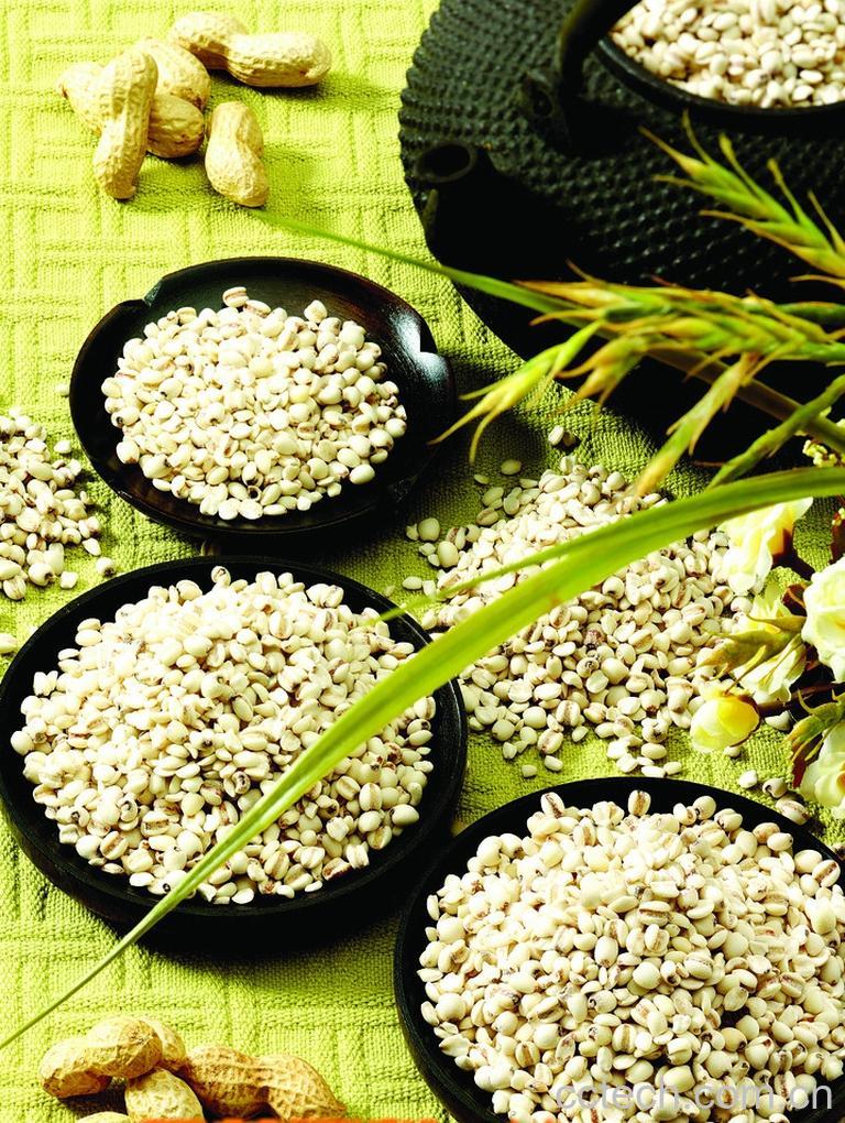 果蔬百科薏苡仁-0