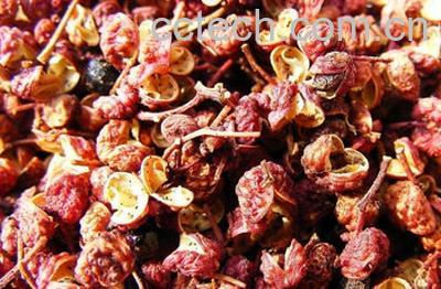 果蔬百科香附的副作用-0