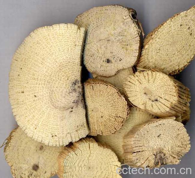 果蔬百科关木通的功效与作用-0