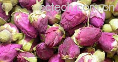 果蔬百科玫瑰花的疗效-0