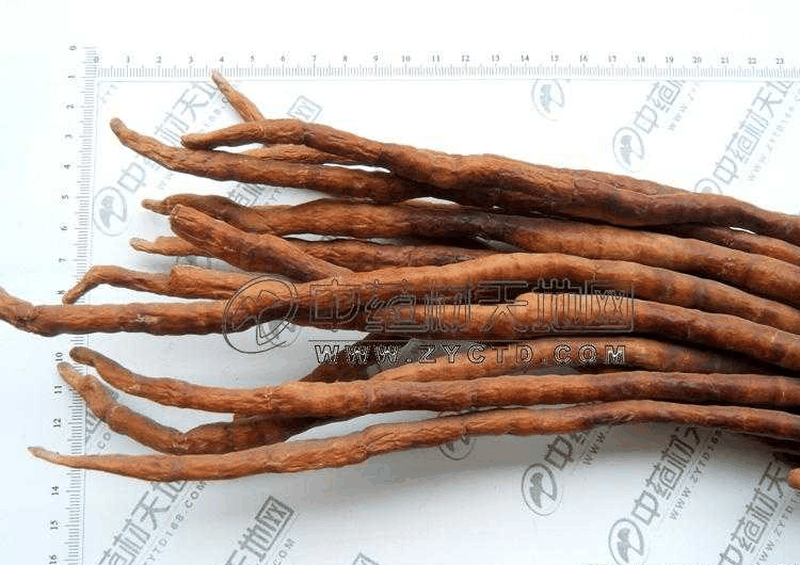 果蔬百科灵芝草的功效-0