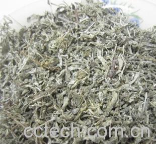 果蔬百科溪黄草的功效-0