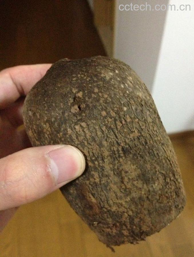 果蔬百科山药的药用价值-0