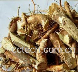 果蔬百科五指毛桃的功效与作用-0