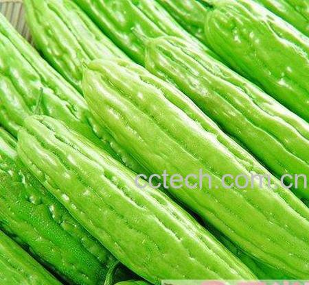 果蔬百科经期不能吃的食物-0