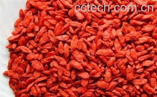 果蔬百科枸杞子的功效-0