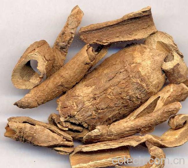 果蔬百科香加皮的功效与作用-0