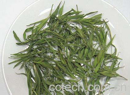 果蔬百科淡竹叶的副作用-0