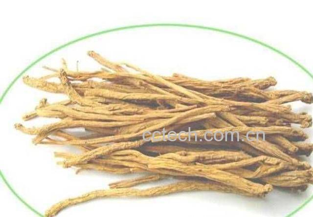 果蔬百科党参的副作用-0