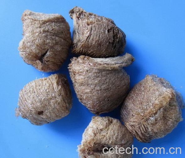果蔬百科桑螵蛸的功效-0