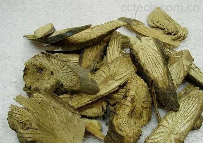 果蔬百科青风藤的功效与作用-0