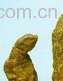 果蔬百科何首乌的副作用-0