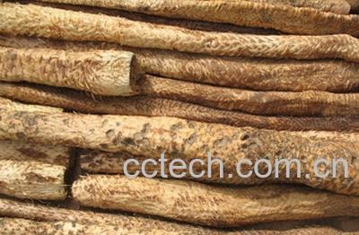 果蔬百科肉苁蓉的功效-0