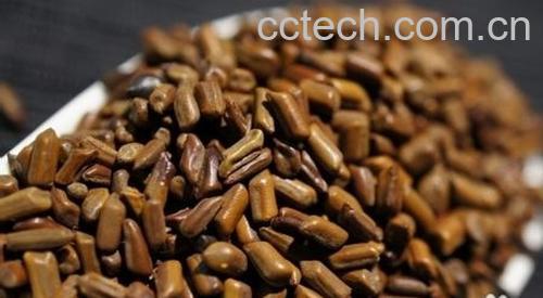 果蔬百科决明子的功效与作用-0