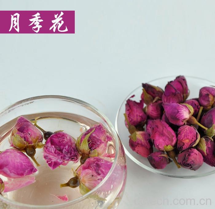 果蔬百科月季花的功效与作用-0