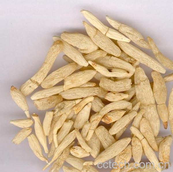 果蔬百科麦冬的功效与副作用-0