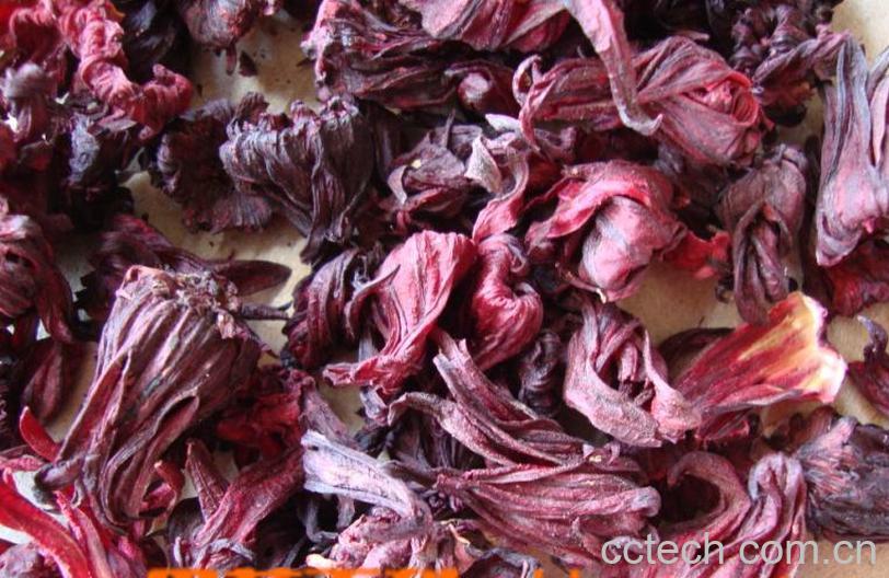 果蔬百科玫瑰茄的功效-0