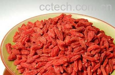 果蔬百科枸杞怎么吃补肾-0