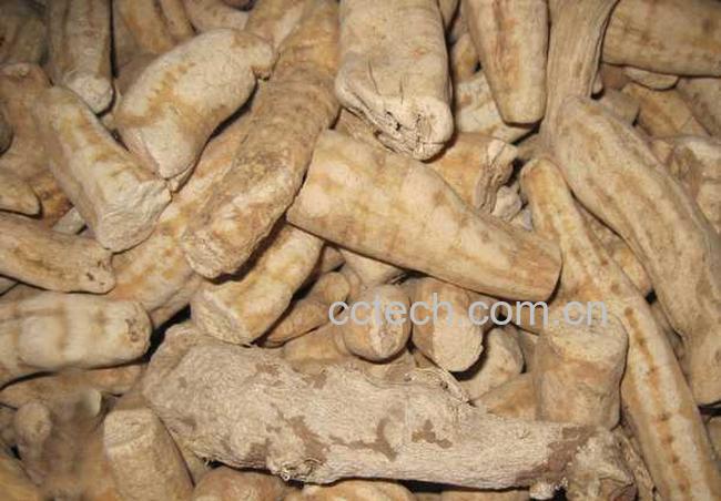 果蔬百科天花粉的功效-0