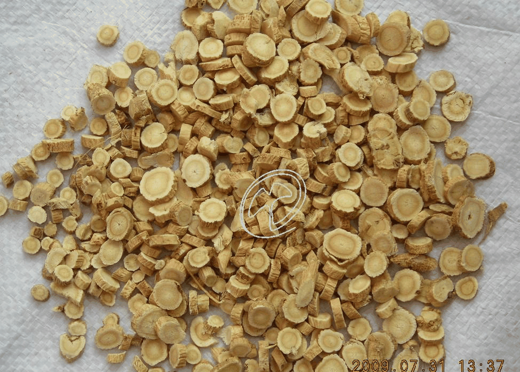 果蔬百科黄芪的种类-0