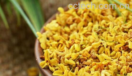 干桂花如何制作 干桂花的制作方法教程-0