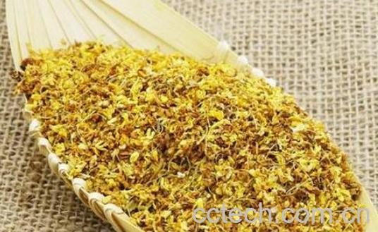 干桂花如何制作 干桂花的制作方法教程-1