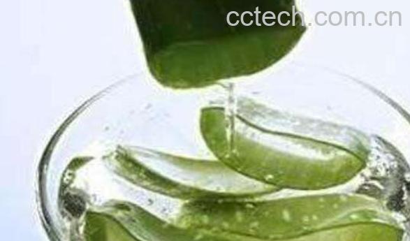 «荟汁的功效与作用及禁忌-0