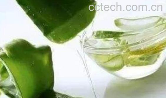 «荟汁的功效与作用及禁忌-1