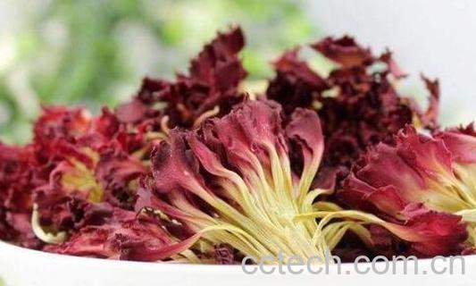 康仙花的功效与作用及禁忌-1