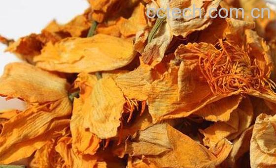 金莲花的功效与作用 金莲花的禁忌-1