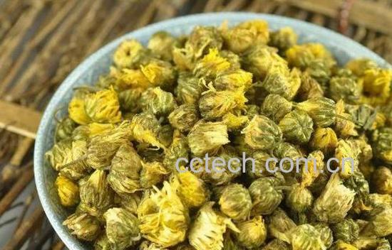 胎菊的功效与作用及禁忌-0