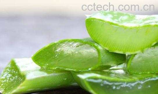 芦荟汁的功效与作用 芦荟汁的副作用-1