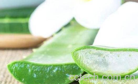 芦荟护肤有什么功效和作用-1