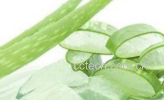 芦荟胶如何用 芦荟胶的正确用法-0